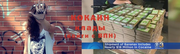 прущие грибы Михайловск