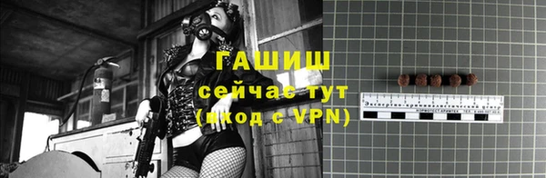 прущие грибы Михайловск