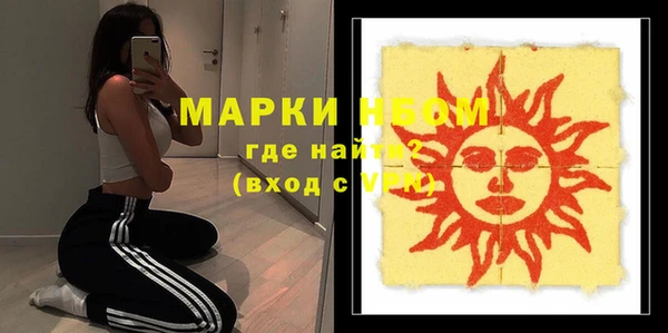 ПСИЛОЦИБИНОВЫЕ ГРИБЫ Михайлов