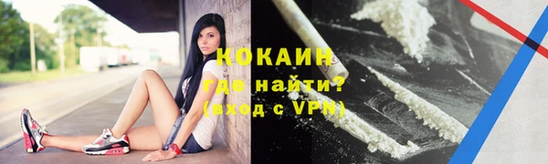 ПСИЛОЦИБИНОВЫЕ ГРИБЫ Михайлов