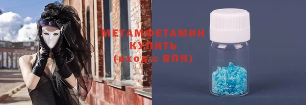 прущие грибы Михайловск