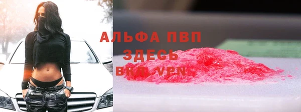 ПСИЛОЦИБИНОВЫЕ ГРИБЫ Михайлов