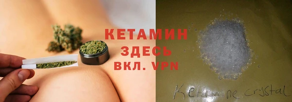 ПСИЛОЦИБИНОВЫЕ ГРИБЫ Михайлов