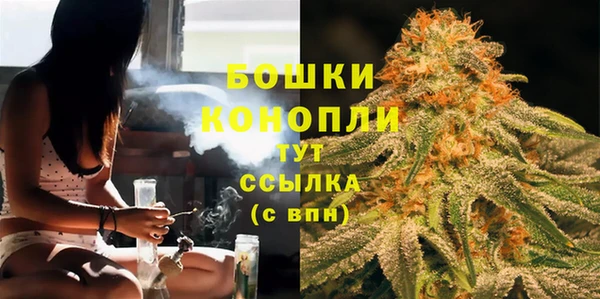 ПСИЛОЦИБИНОВЫЕ ГРИБЫ Михайлов