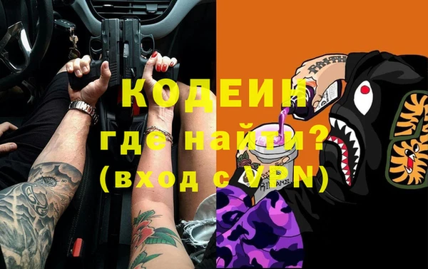прущие грибы Михайловск