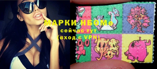 прущие грибы Михайловск