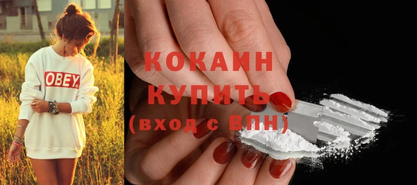 прущие грибы Михайловск