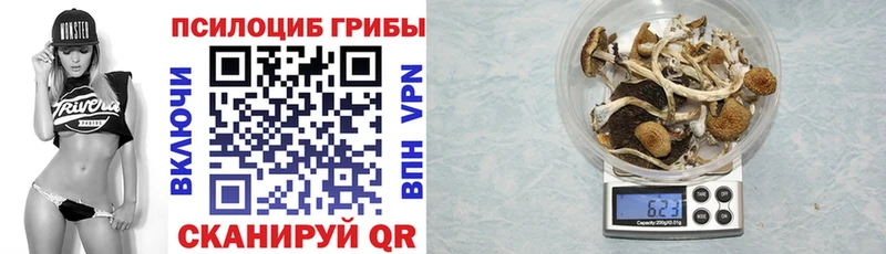 Купить  Николаевск  Галлюциногенные грибы Cubensis 